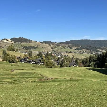 Mit Terrasse Und Offenem Kamin By Interhome Bernau im Schwarzwald